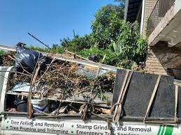 Shed Removal in Royersford, PA